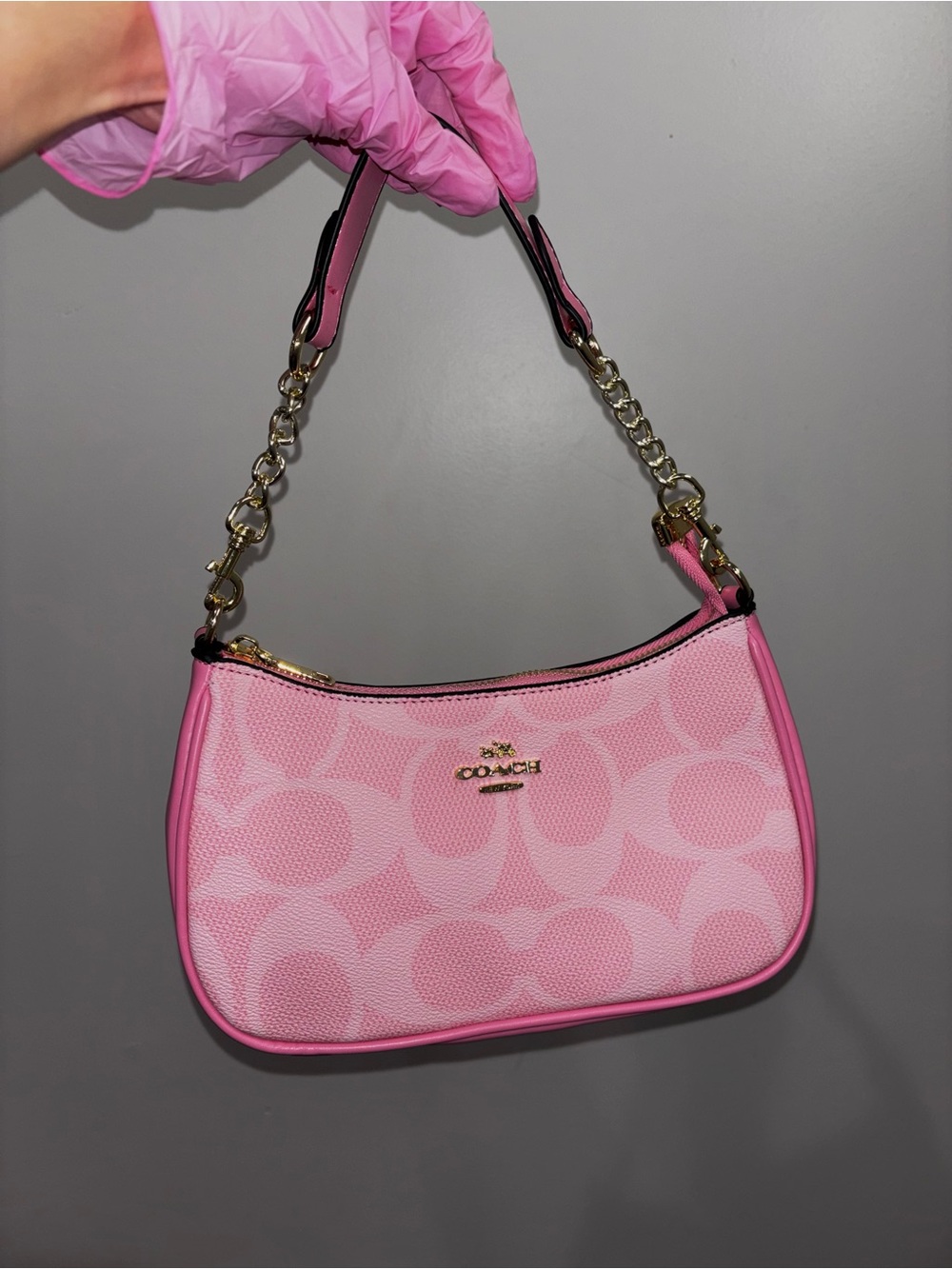 Pink Signature Canvas Mini Shoulder Bag